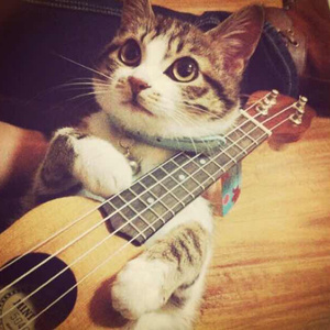 1024手机看片视频在线观看免费
