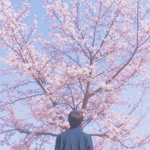 1024手机看片视频在线观看免费
